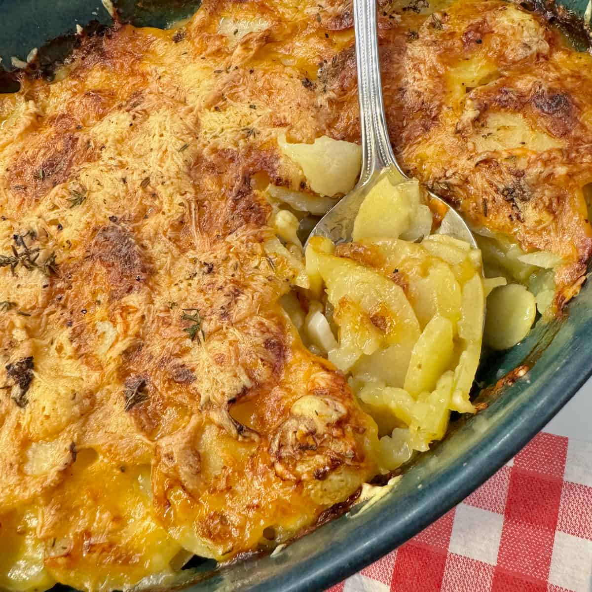 Soft scalloped potatoes in a gratin dish topped with crispy cheese
