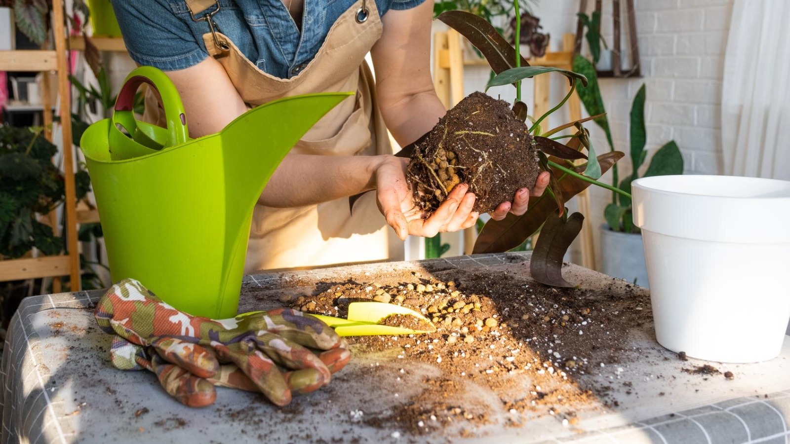 Planning Your Garden